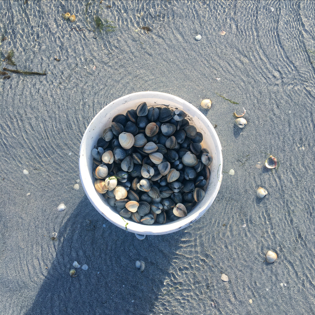 plastic bucket on beachcockles traigh mhor isle of barra outer hebrides