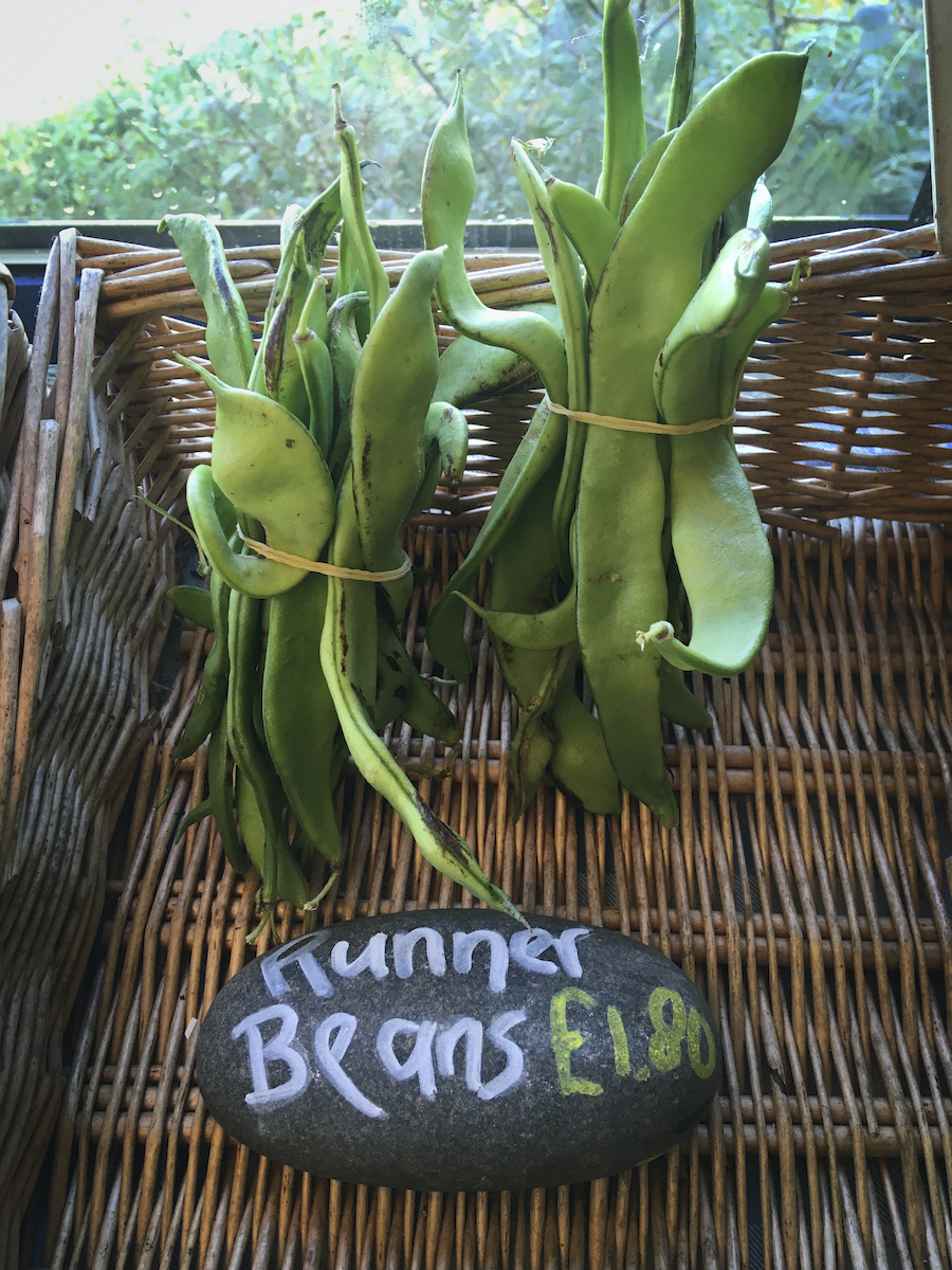 green beans brown basket honesty shop
